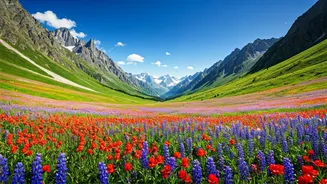 Peak Blooms Need Smart Travel Planning Now