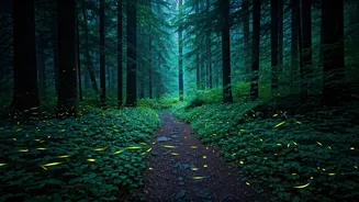 Firefly Walks Offer The Perfect Rainy Weekend Plan