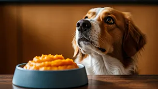 Ditch Packaged Kibble For This Pureed Pumpkin Dog Food Routine