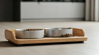 Feeding Stations Make Pet Homes Feel Organised