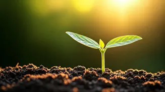 Unlock Longevity: The Simple Habit That Can Halve Your Early Death Risk