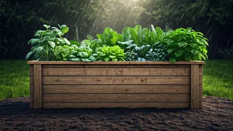 Raised Beds Are The Safe Monsoon Choice