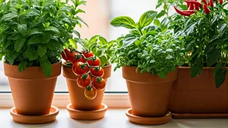 Grow Fresh Produce Without A Large Garden