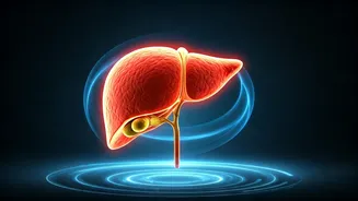 Related Stories banner