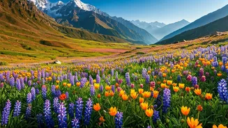 Uttarakhand High Altitude Valley Offers Breathtaking Floral World Views