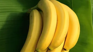 Faster Ripening Changes Banana Taste More Than Its Nutrition