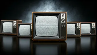 MTV Ends Music Videos: Why the Change?
