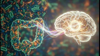 Diet Quality May Matter To Well-Being Through Several Connected Pathways