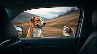 Indian Travellers Are Booking Around Their Animals