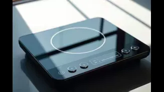 Govt Plans Induction Stove Loan Subsidy To Boost Electric Cooking: Report