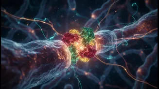 Protein Labels Show the Amount, but New Research Focuses on What You Absorb