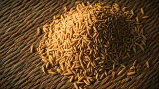 Make These Sun Dried Leftover Rice Sandige Today