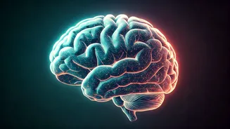 10 Essential Habits to Supercharge Your Emotional Intelligence Today