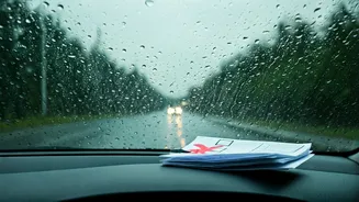 The Rainy Season Checklist Of What Not To Do