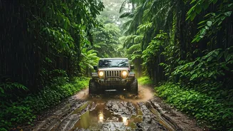 Jeep Through Rainy Forests Like A Pro