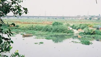 Haryana, UP to divert Ganga, Munak water to revive Yamuna