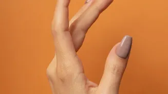 Ongoing Itching Deserves Attention Even When the Coat Still Looks Normal