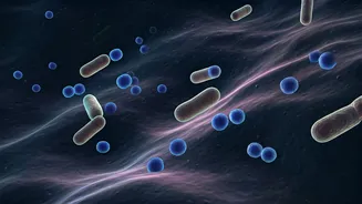 Unlocking Antibiotic Resistance: New Insights into Bacterial Battles