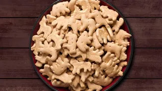 A Practical Guide To Backup Pet Feeding Routines Starts With Late Workdays