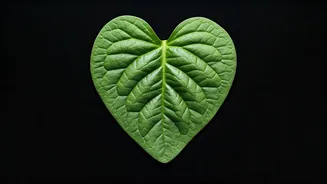 Lower Cholesterol Naturally With These Tips