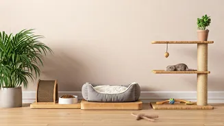 Design A Home Every Pet Will Love