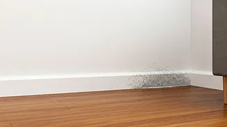 Protect Walls And Furniture From Dampness