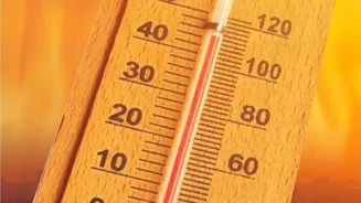 Record Whether Heat Was Low, Medium or High at Each Stage
