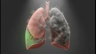Delhi-NCR Health Risks Need Plain Explainers