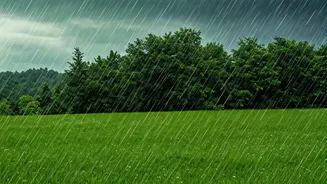 Young Travellers Want Rain With Local Flavour