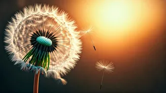 Unlock Lasting Joy: A Happiness Expert's Proven Strategies for a Fulfilling Life