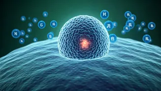 Understanding Magnesium Deficiency: Causes, Symptoms, and Expert-Recommended Treatments