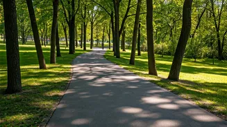 Gentle Fitness: The 6-6-6 Walking Rule