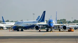 IndiGo Flight Cancellations: What You Need to Know