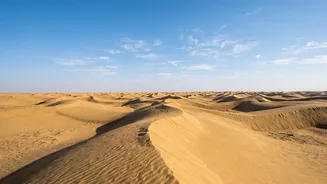 How to organize an epic early winter road trip across Jaipur, Jodhpur, and Jaisalmer in Rajasthan