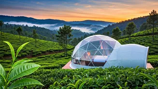 Romantic Wayanad Valley View Glamping Topped Newlywed Wishlists