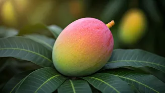 Related Stories banner