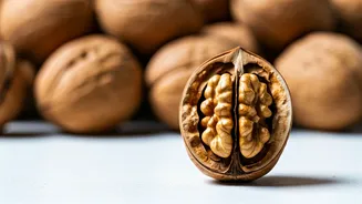 Harvard Doctor Recommends Walnuts: Here's Why