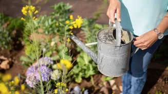5 ways gardening can help clear your mind