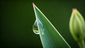 Related Stories banner