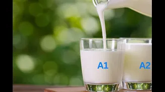 What Is The Difference Between A1 And A2 Milk And Which One Is Better For You?