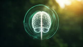 Unlock Your Brainpower: Yoga Poses to Boost Student Memory and Concentration