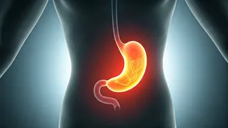 Acidity vs. Stomach Pain: Decoding the Differences and Crucial Warning Signs