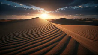 Brief Showers Make The Golden Dunes Glow