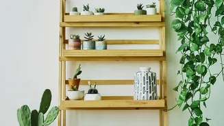 How Beginner Indoor Plant Design Adds Natural Sophistication To Small Budget Work-From-Home Setup Layouts
