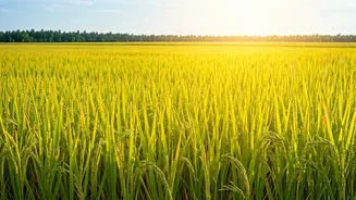 Related Stories banner