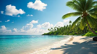 India's Coastal Gems: Unveiling Top Beach Escapes for Every Traveler