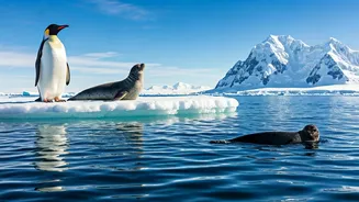 7 Antarctic Animals: A Traveler's Delight
