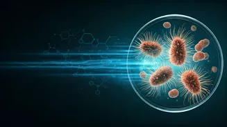 Related Stories banner