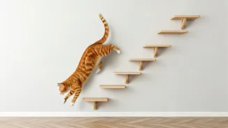 Keep Cats Mentally Stimulated Indoors With Safe Floating Wall Steps