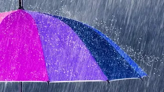 This Week's Rain-Alert Update Is a Reminder to Review Flexible Check-In